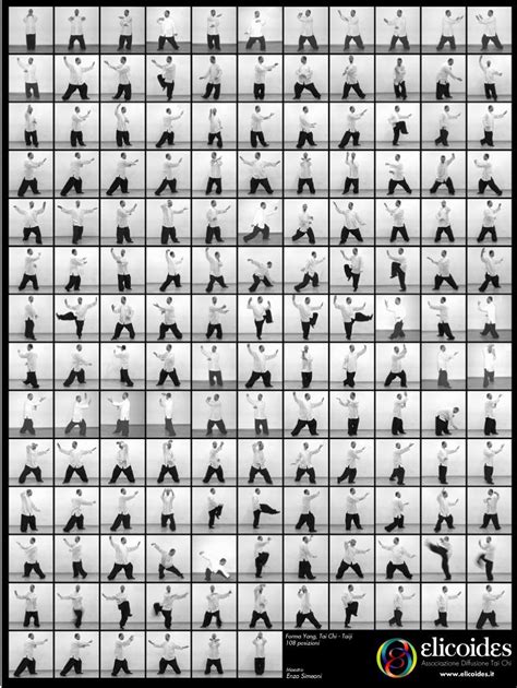 This 40 Forms set is more compact than the traditonal Yang 108 Forms yet contains all the features, techniques and internal energy of the style. . Chen style tai chi 108 forms